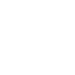 Logo Toyota automotriz cliente corporativo eventos Chrismas
