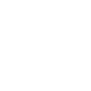 Logo Fibra Shop FIBRA inmobiliaria cliente Chrismas