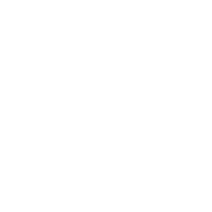Logo Cardif BNP Paribas seguros cliente Chrismas